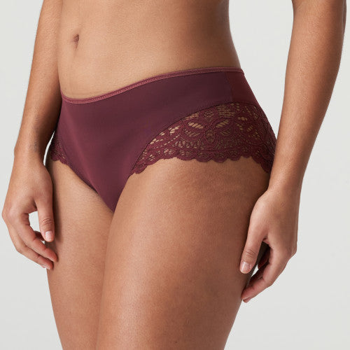 PrimaDonna Twist FIRST NIGHT hotpants in Merlot