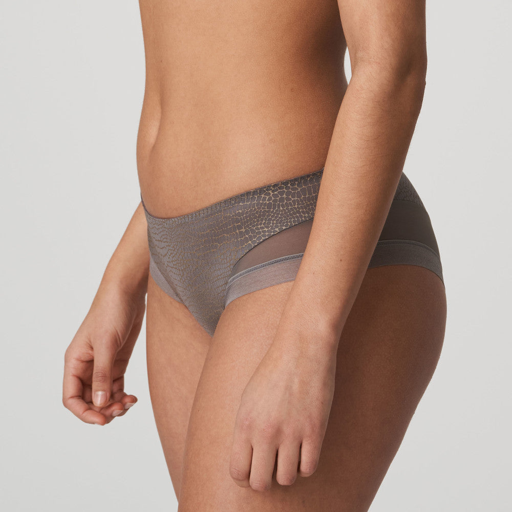 Primadonna Twist Hotpants in Kitten Grey