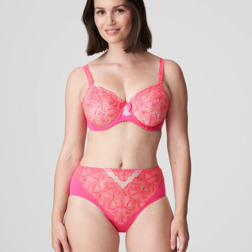Primadonna Belgravia Full Briefs in Blogger Pink
