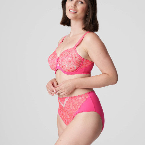 Primadonna Belgravia Full Briefs in Blogger Pink