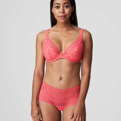 Primadonna Twist Palermo Hotpants in Tagada