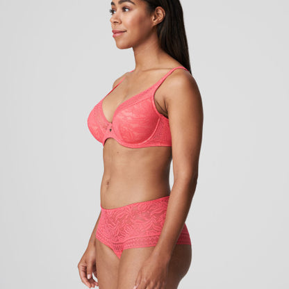 Primadonna Twist Palermo Hotpants in Tagada