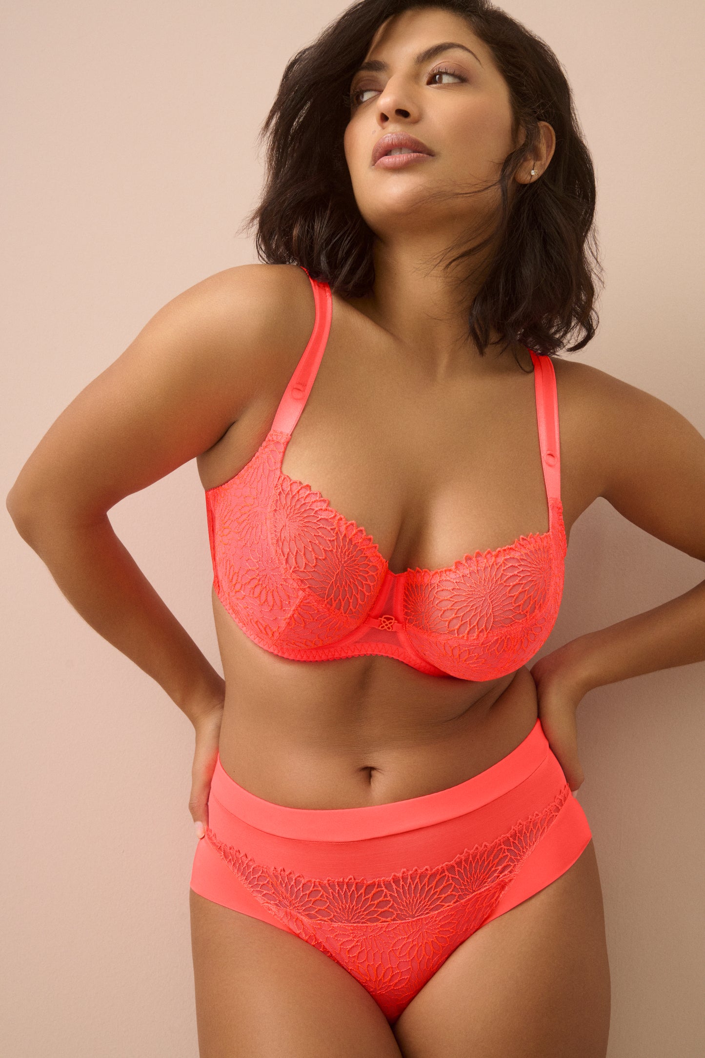 Catalog