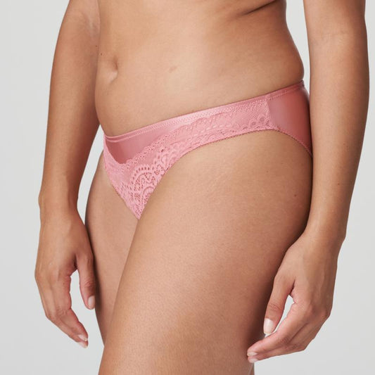 PrimaDonna Twist I DO rio briefs in sunset melba