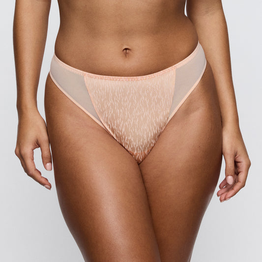 Primadonna Twist DALLI thong in silk